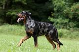 BEAUCERON 799